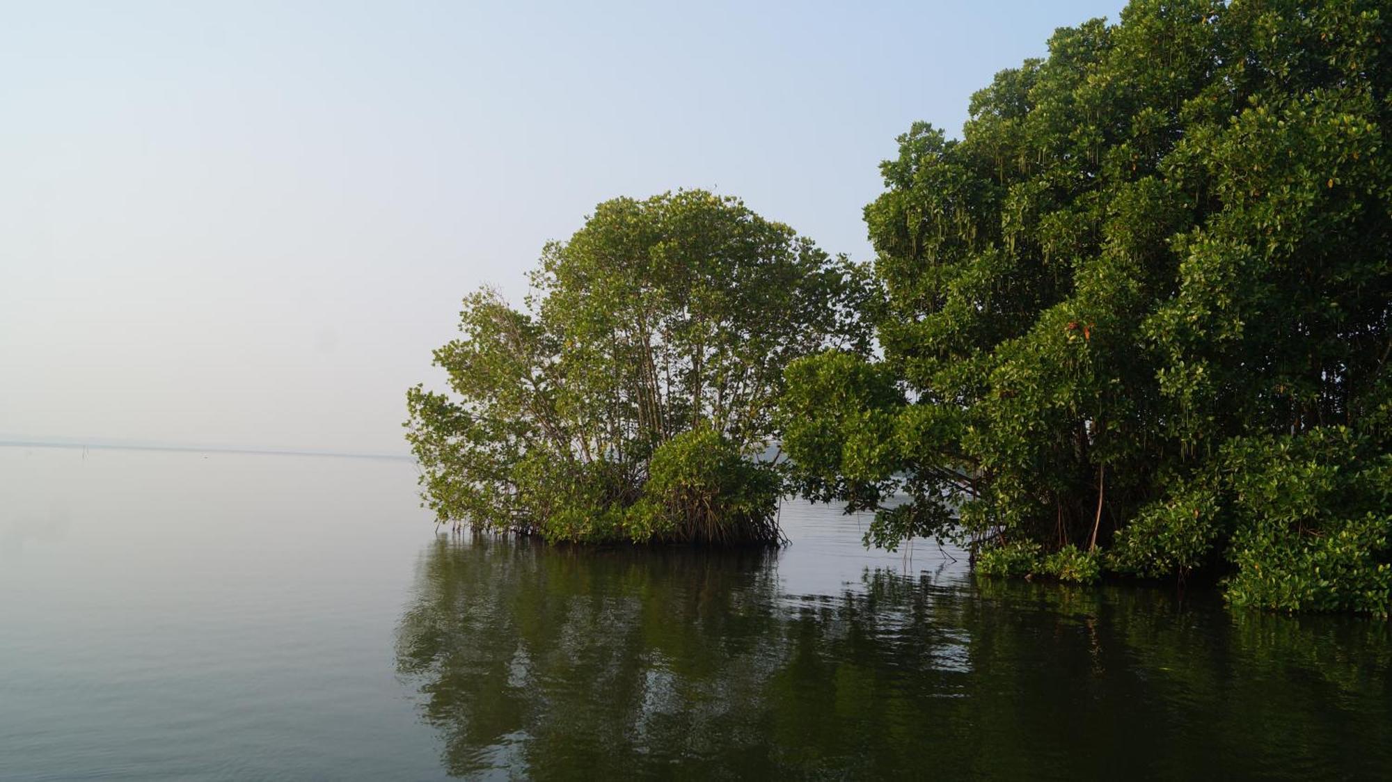 Blue Lake Villa Kollam Buitenkant foto